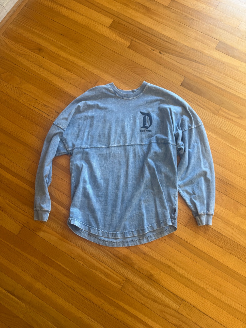 Disneyland spirit jersey